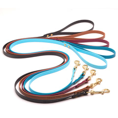 black, brown, red, blue, and teal biothane dog leash with brass hardware on white background curved together