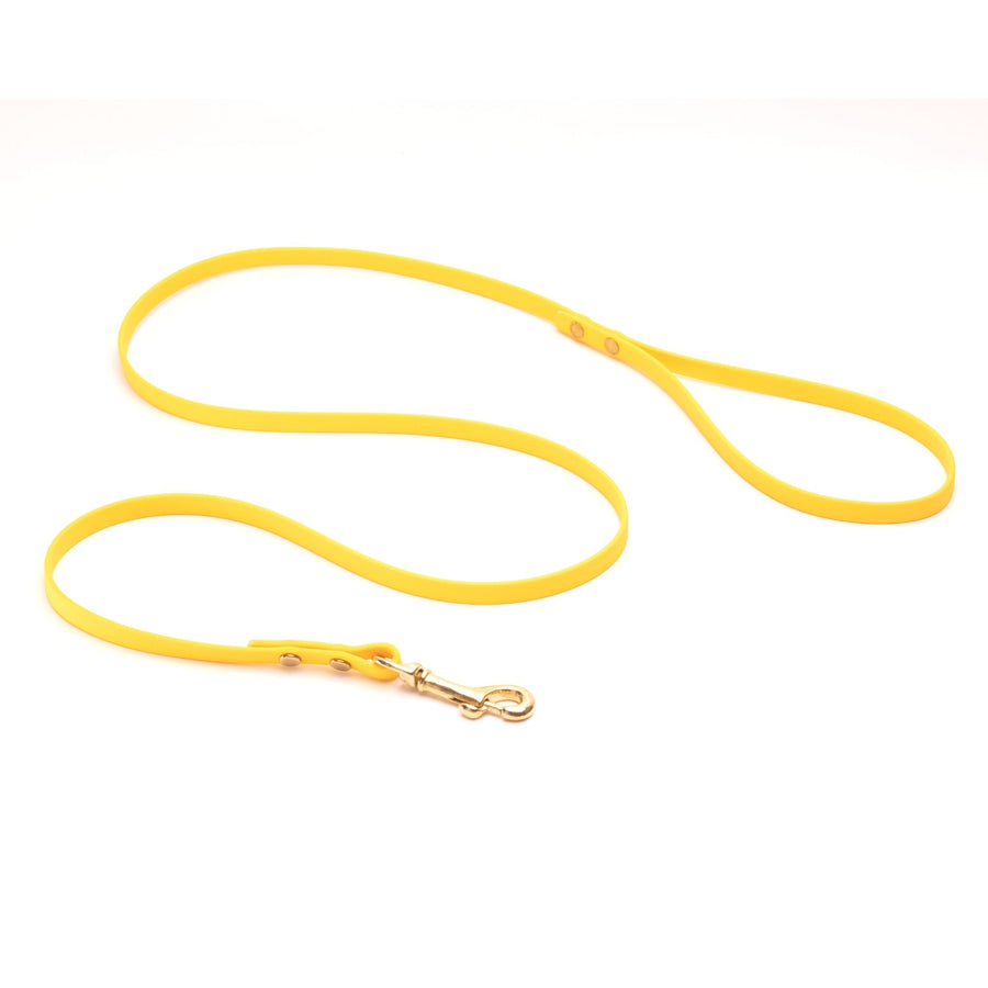 yellow biothane dog leash with brass hardware on white background