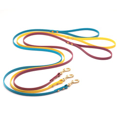 three small biothane dog leashes with brass hardware on white background